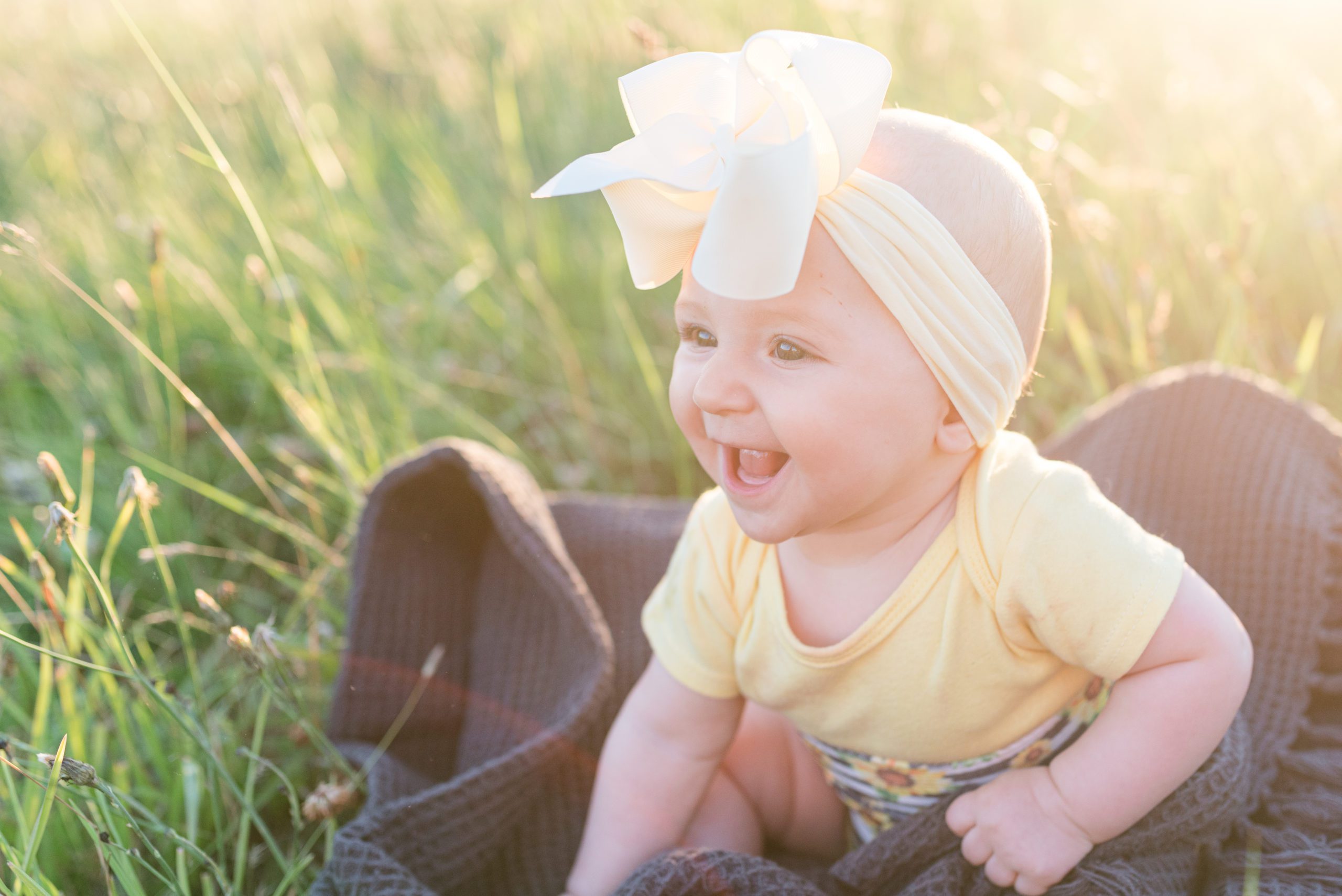 6 month old Annessa sitting in a field at sunset