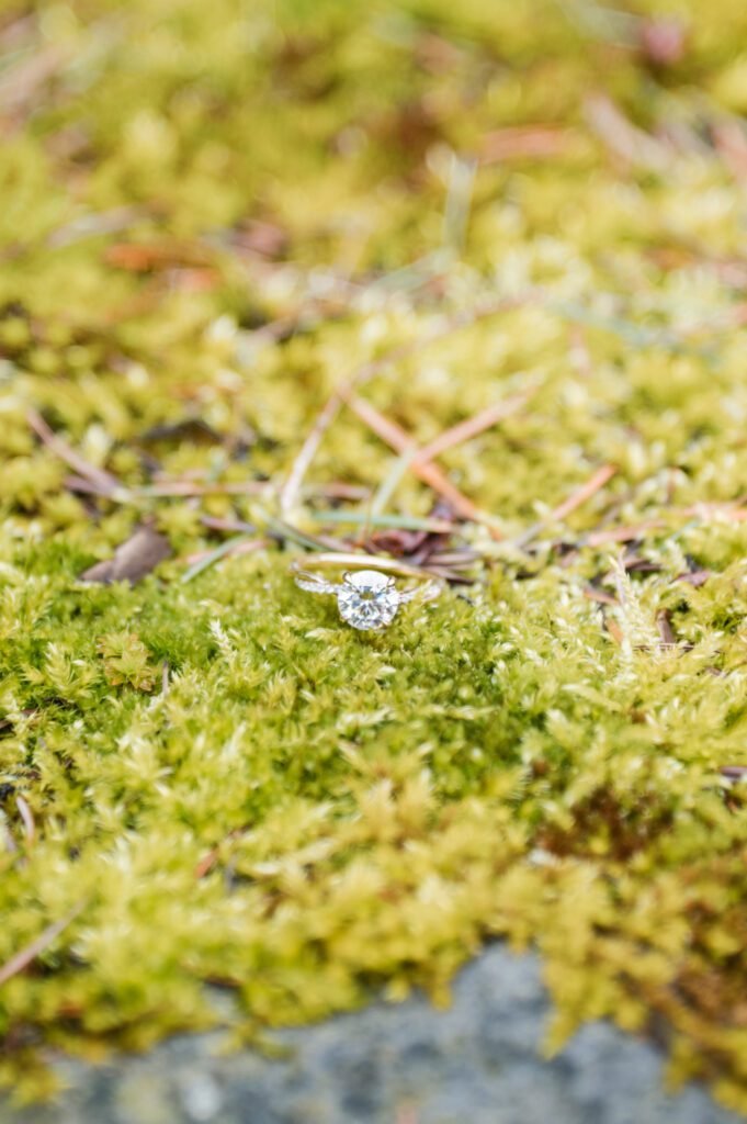 Engagement ring in moss