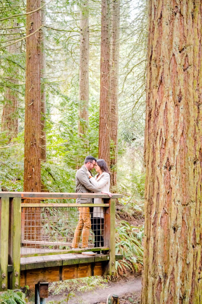 Engaged couple standing on deck in the woods