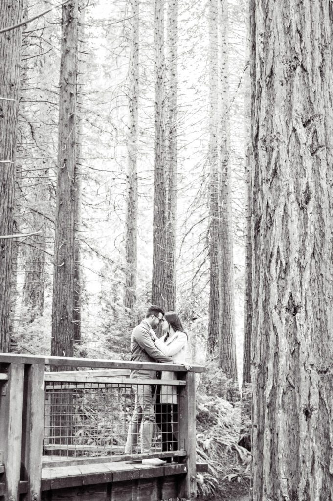 Engaged couple on the Redwood Deck