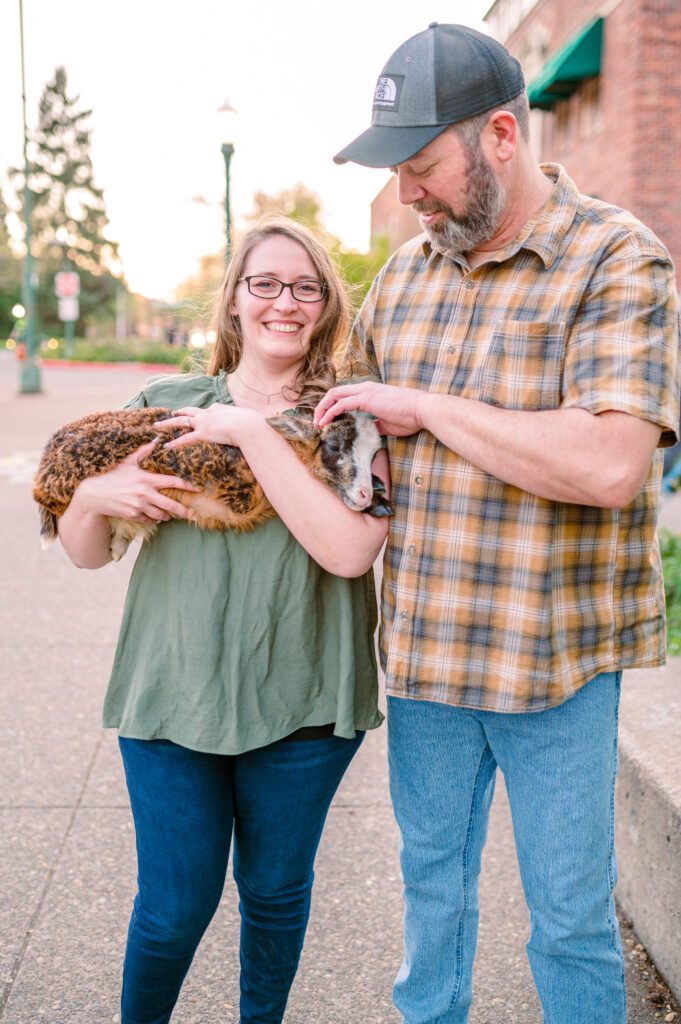 Engaged couple petting sheep