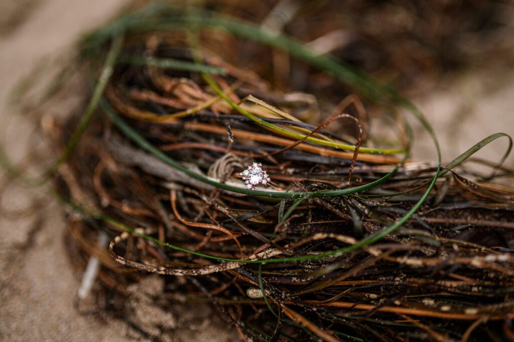 engagement ring in seaweed in cannon beach oregon